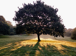 Jolyon Berry23_edited